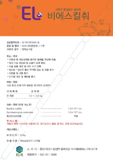 EL-비에스컬춰